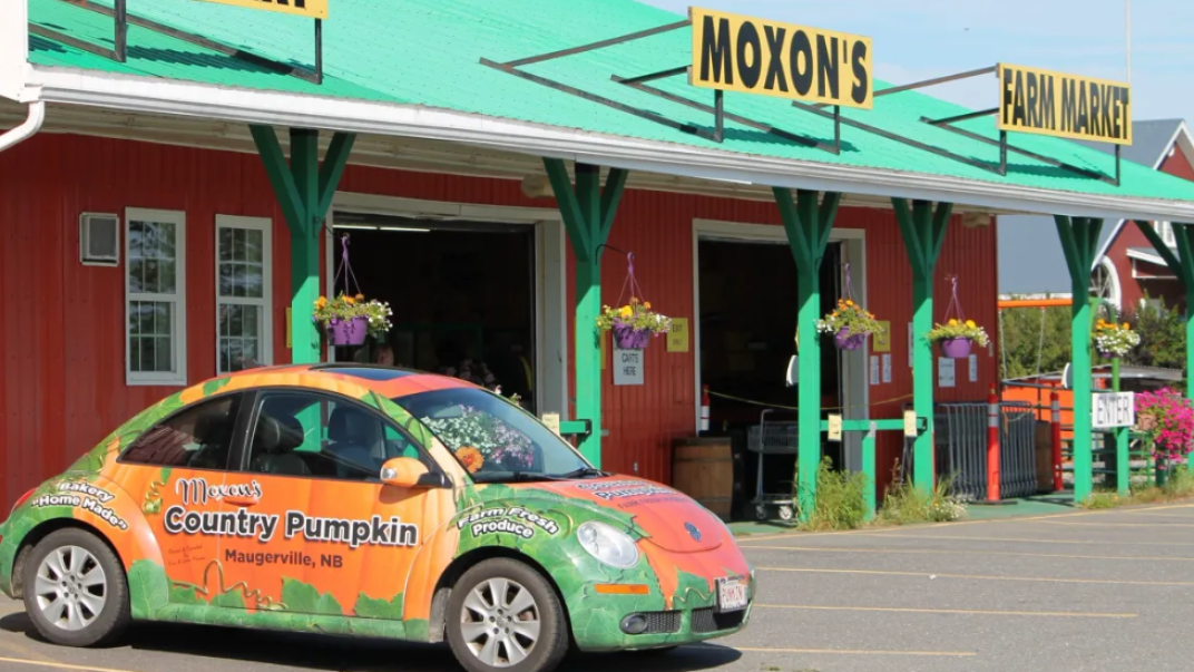 Moxon's Country Pumpkin Fredericton Capital Region